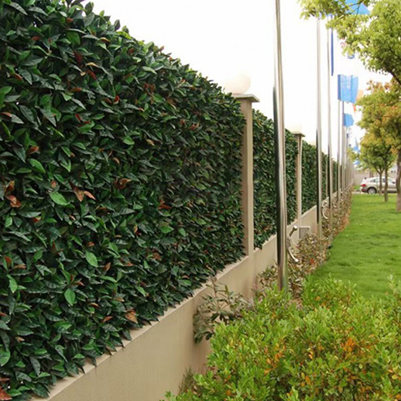 Wall Plant 仿真植物